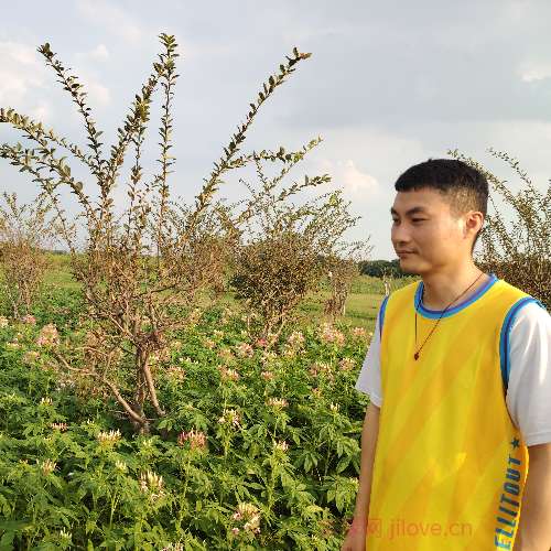 37岁岁广东单身帅哥 - 珠海吉缘网